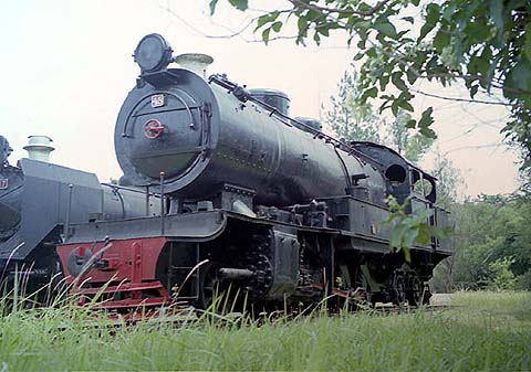 DSM 48