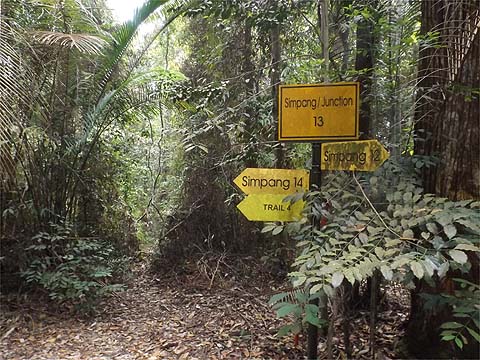 Penang Hills and Trails - Rimba Ridge