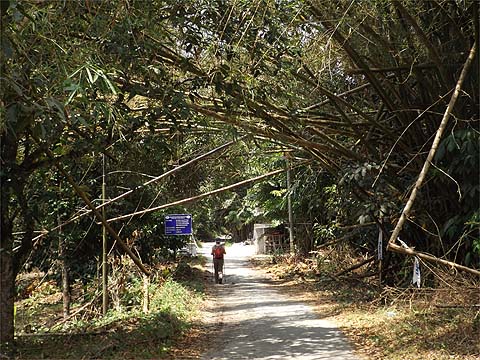 Penang Hills And Trails The Definitive Sungai Rusa Heights