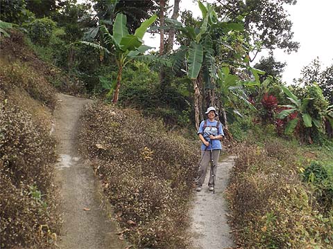 Penang Hills And Trails Sungai Rusa Heights And More