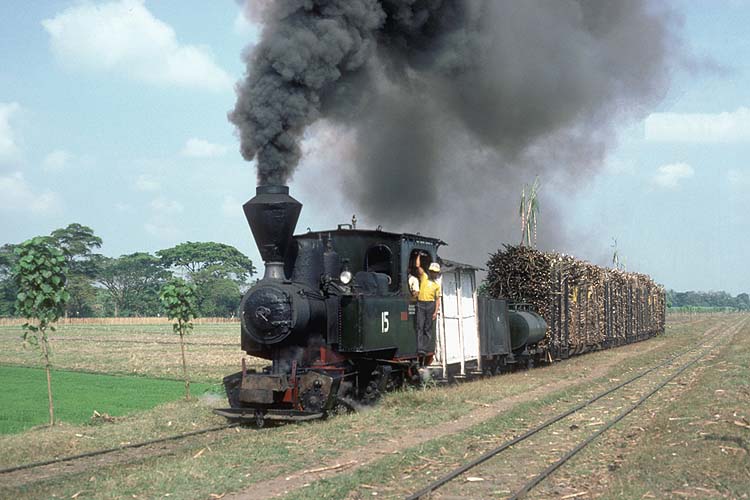 Indonesian Narrow Gauge Mallets Java