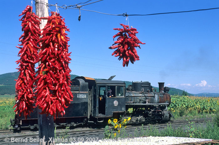 Chili at the forestry line Huanan