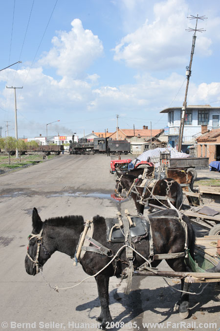 donkey park in Huanan