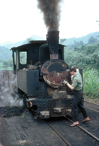 Tiger Steam