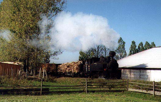 back from the sawmill branch