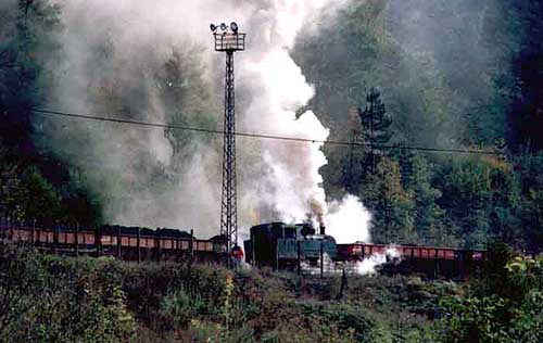 25-31 October 1999