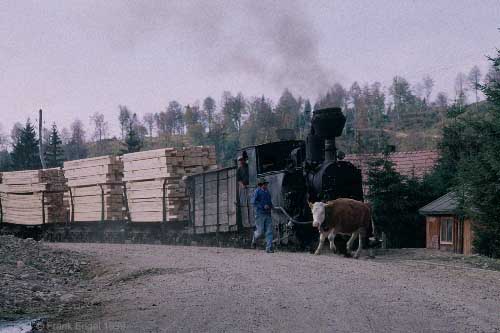 ferm01.jpg (24634 bytes)