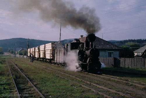 ferm01.jpg (24634 bytes)