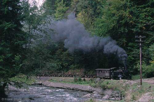 ferm01.jpg (24634 bytes)