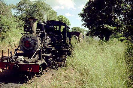 Baldwin 2-8-0 No.06 heads home from Manjacaze, February 1996.