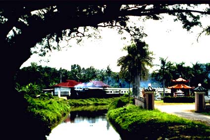 borneo03.jpg (33892 bytes)