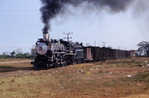 cu01008.jpg (36590 bytes)
