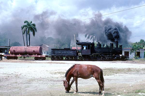1360 on the molasses train