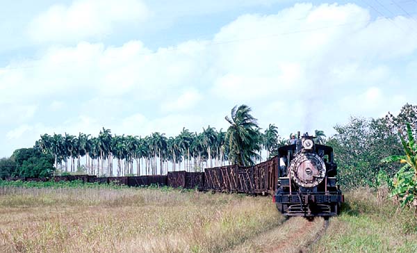 1461 at Ecuador