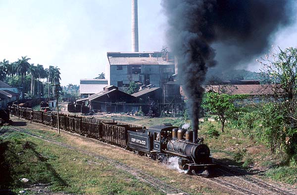 1329 at Peptito Tey