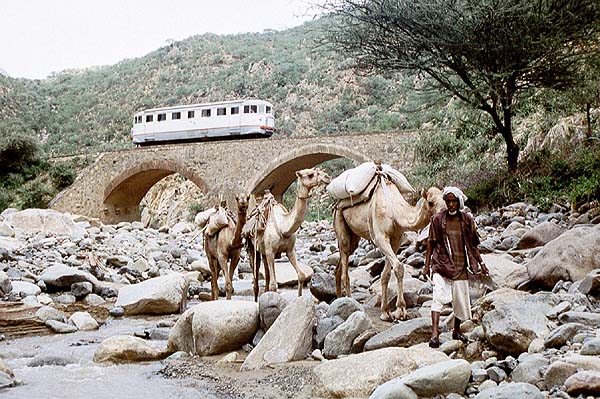 Littorina 7 5km down from Ghinda on 7th December