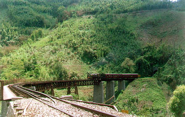 Doyang Viaduct