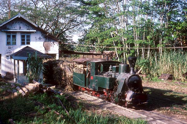 Pangka 3