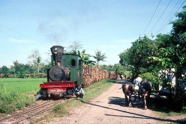 Sragi 19