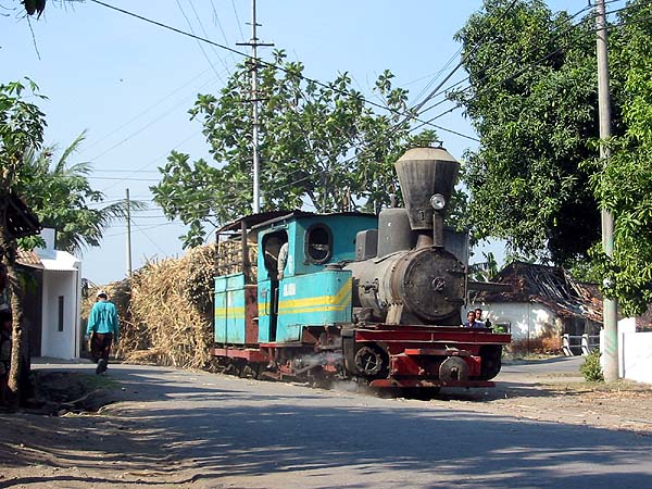 Rejosari 6 in action