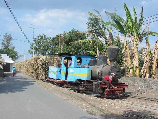 Rejosari 7 in action