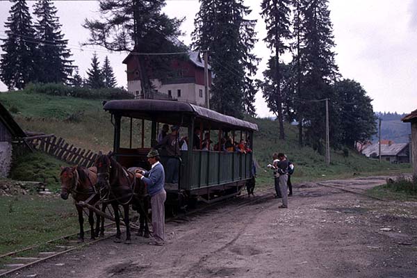 rohh005.jpg (60777 bytes)